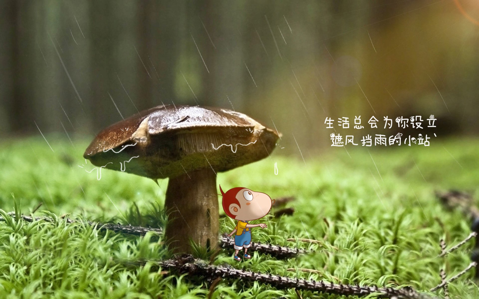 海滩排球世界杯，阳光沙滩上的劲爆对决，排球海滩3