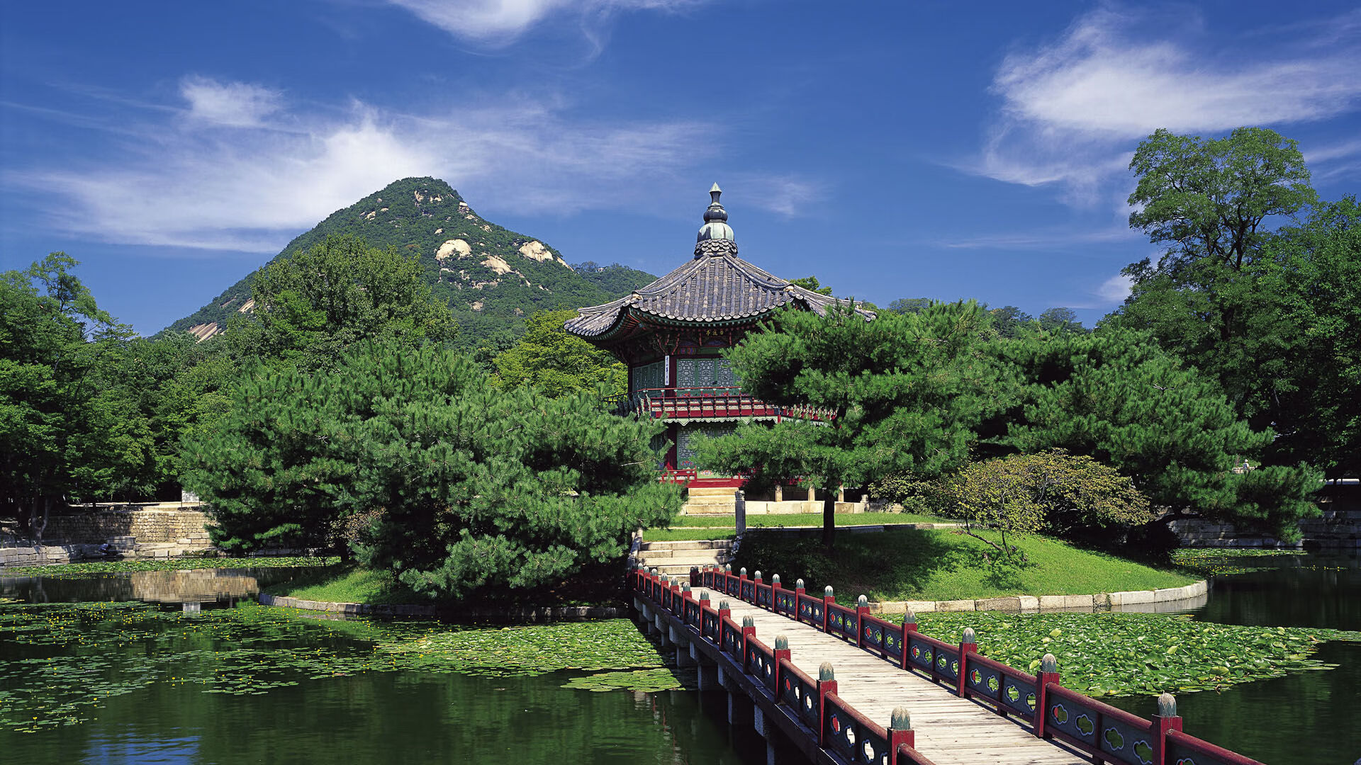 “东安湖体育公园：水上龙舟竞速，选手决战激流”