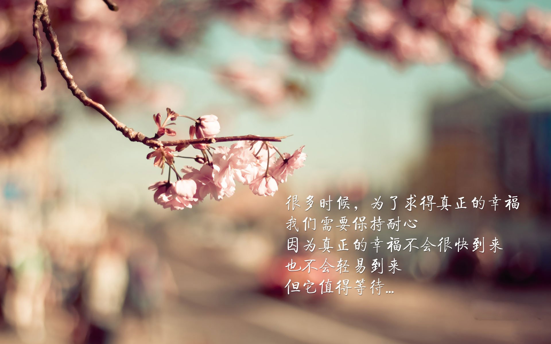 世界杯历史战役：永载足球史册的经典战斗，媒体评世界杯历史最经典比赛