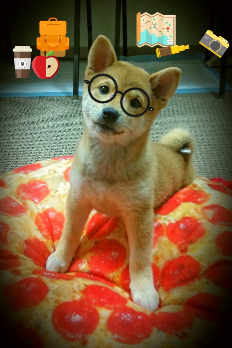 体育新闻中心公布运动队医支持标准化指导意见，运动队队医职责