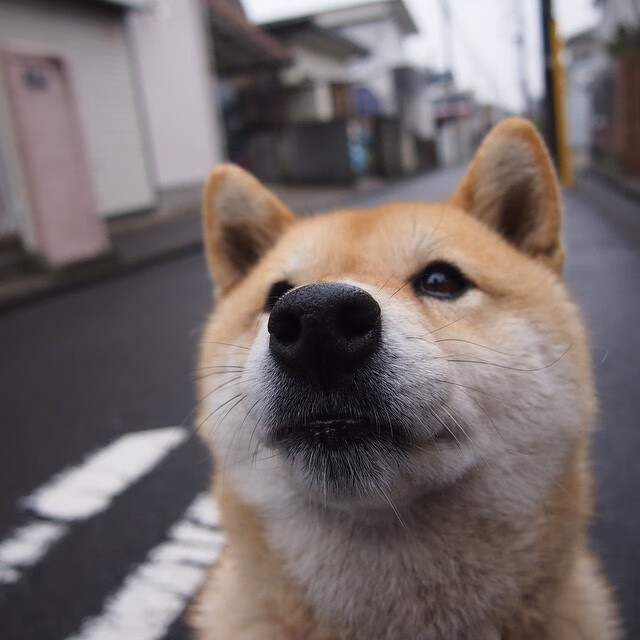 冰火对决：北欧球队挑战热带劲旅引关注，冰火两重天的北欧国家