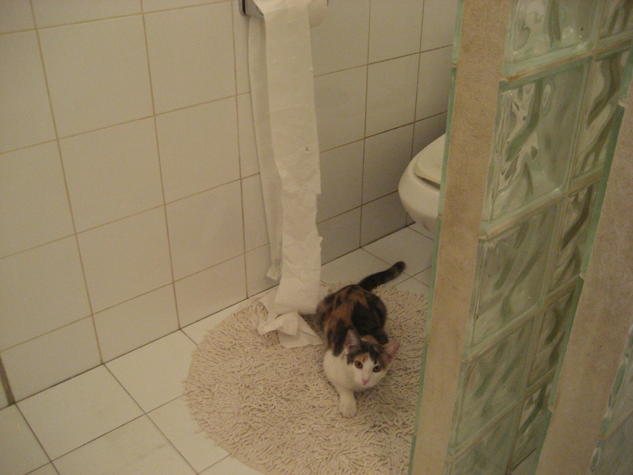 围棋世界冠军赛柯洁力压对手，围棋比赛2021柯洁