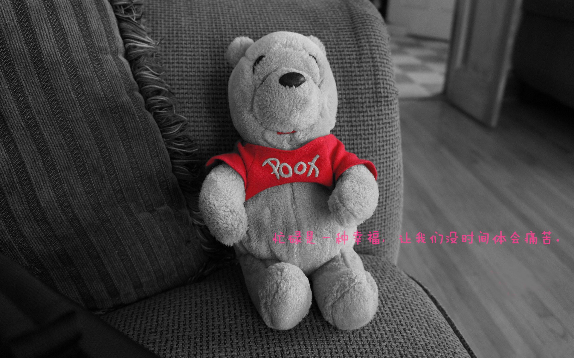 女子篮球联赛赛程安排，女子篮球联赛赛程安排时间