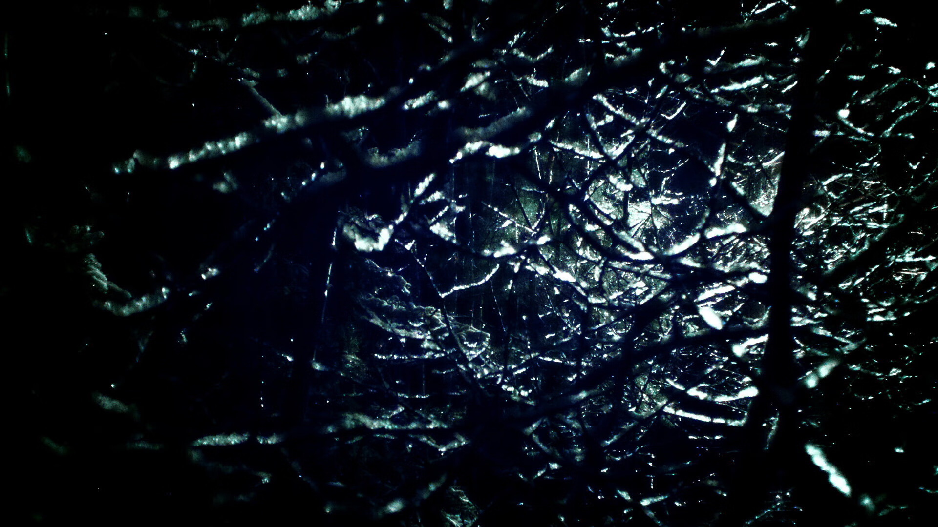 蛙泳新秀吉尔吉斯斯坦刷新个人纪录，吉尔吉斯斯坦摔跤手