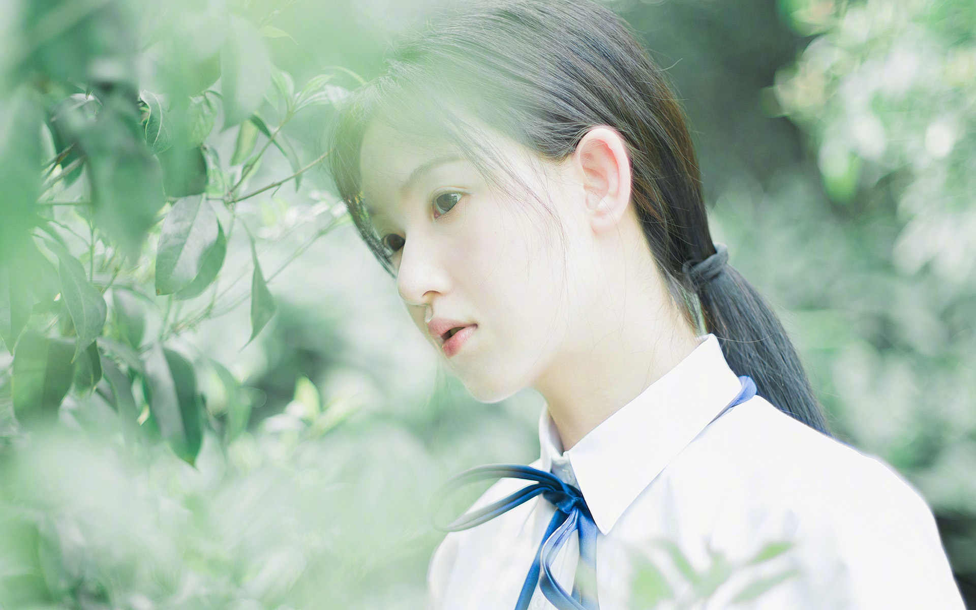 里根·史密斯完美入水赢得掌声，里根史密斯仰泳