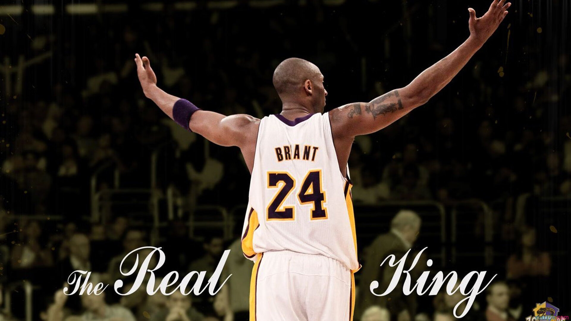 中国篮球裁判员—从基层成长到国际舞台，中国篮球裁判员名单及图片